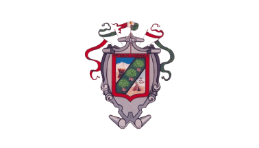 De facto flag of Arteaga