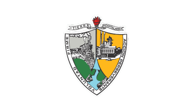 De facto flag of Sabinas