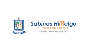 Council flag of Sabinas Hidalgo