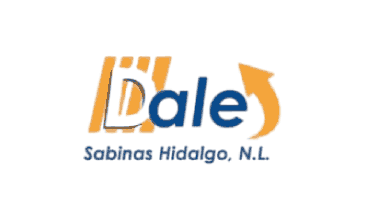 Branding flag of Sabinas Hidalgo