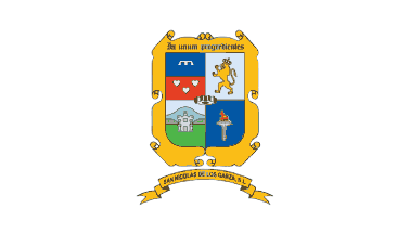 De facto flag of San Nicolas de los Garza