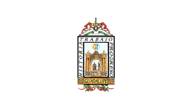 Flag of the municipality of Guadalupe