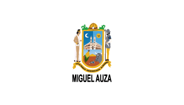 Flag of the municipality of Miguel Auza